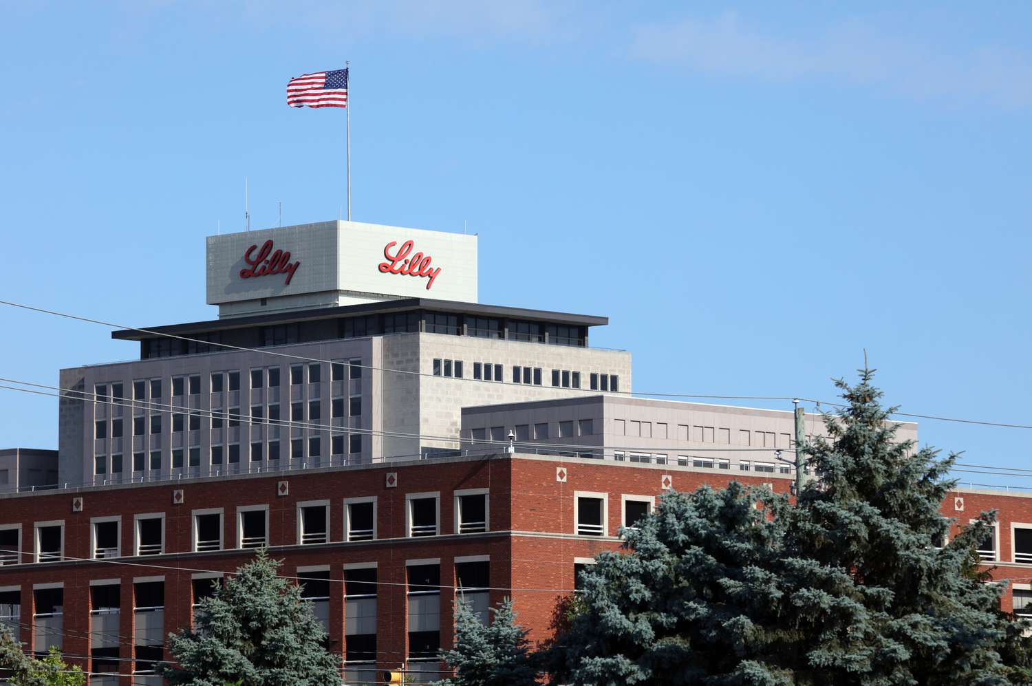 分析师在收益之前对Eli Lilly股票的看法