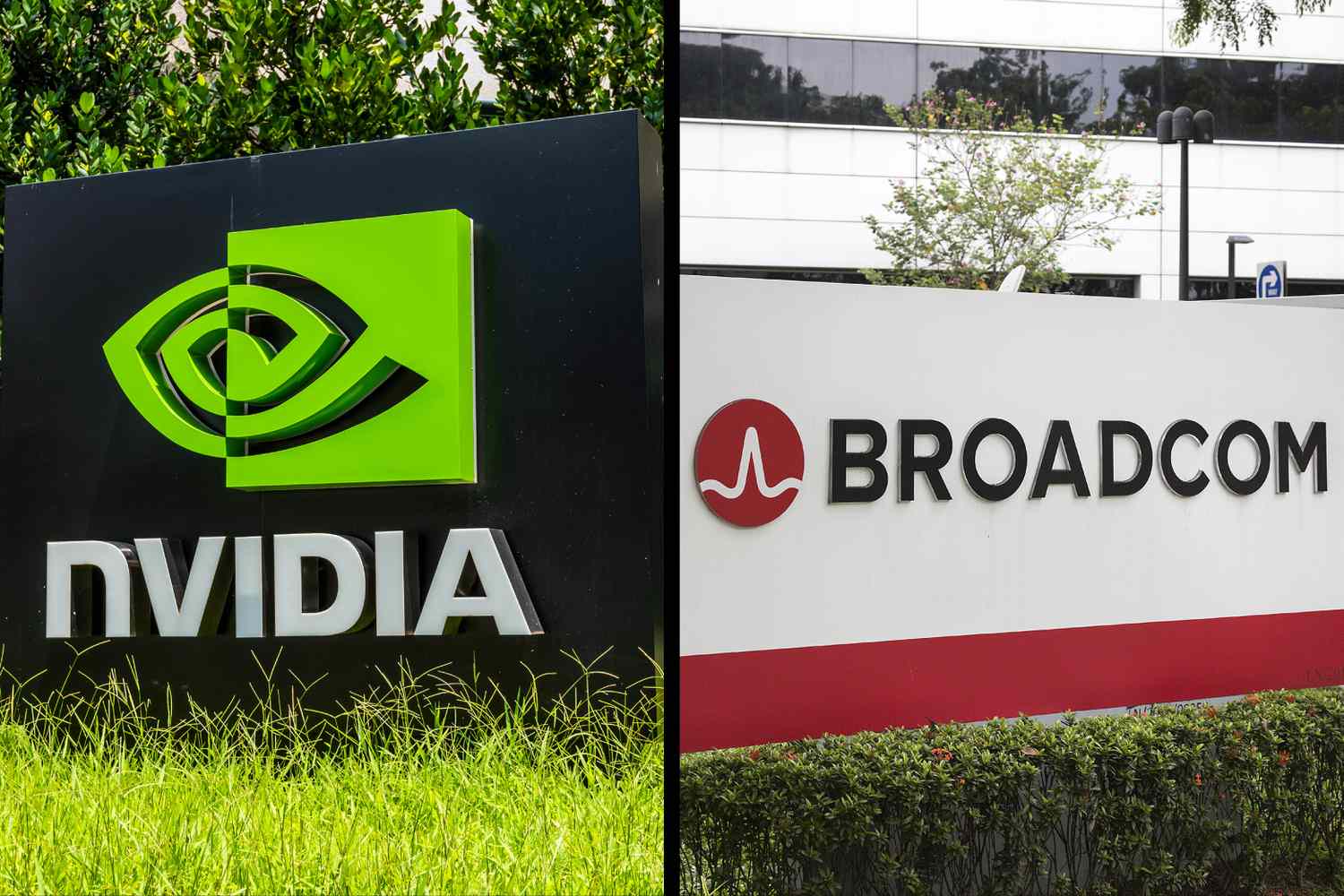 为什么NVIDIA，BRODCOM和其他芯片股在星期三飙升