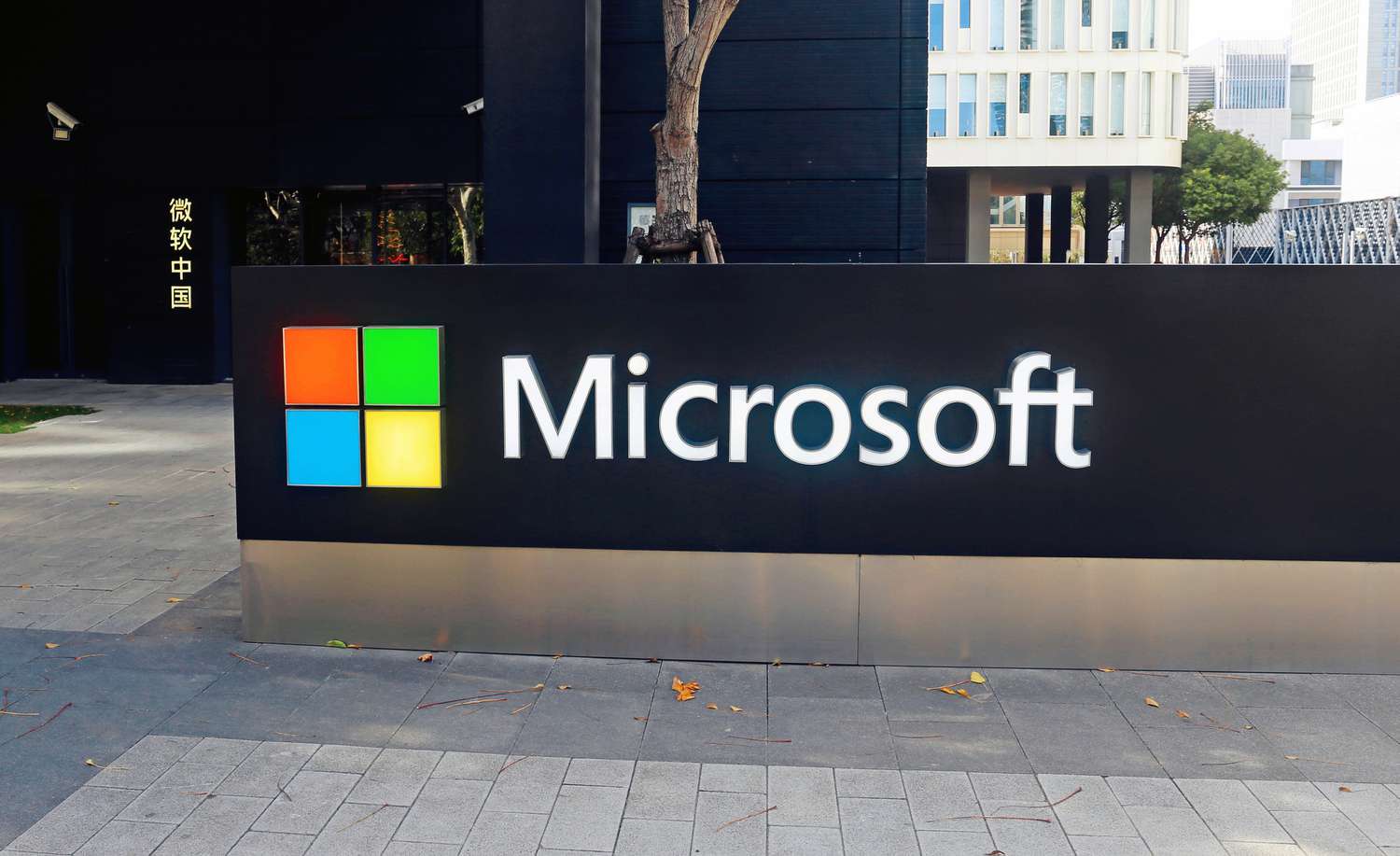 现在的最高股票：Microsoft，Meta平台，Roblox等