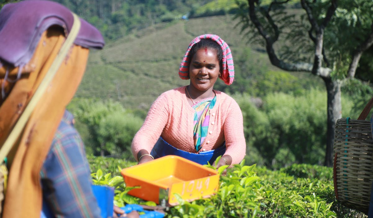 在Fairtrade的“ Redthread”多年品牌平台中